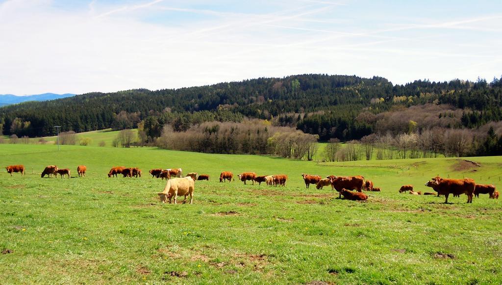 Hotel Lugerhof Weiding  エクステリア 写真
